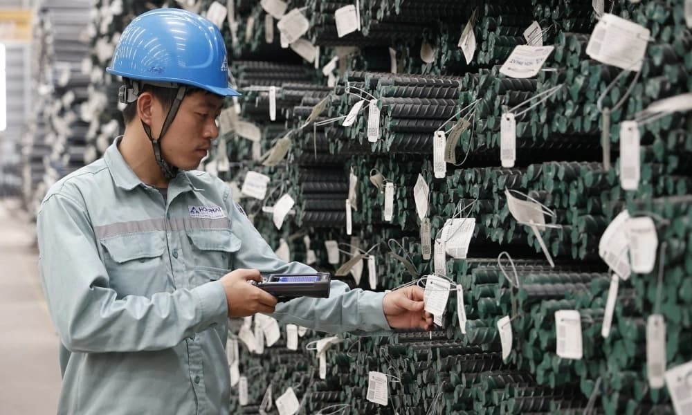 Hòa Phát rót gần 8.000 tỷ đồng thâu tóm cổ phần chủ đầu tư khu đô thị tại Đông Anh