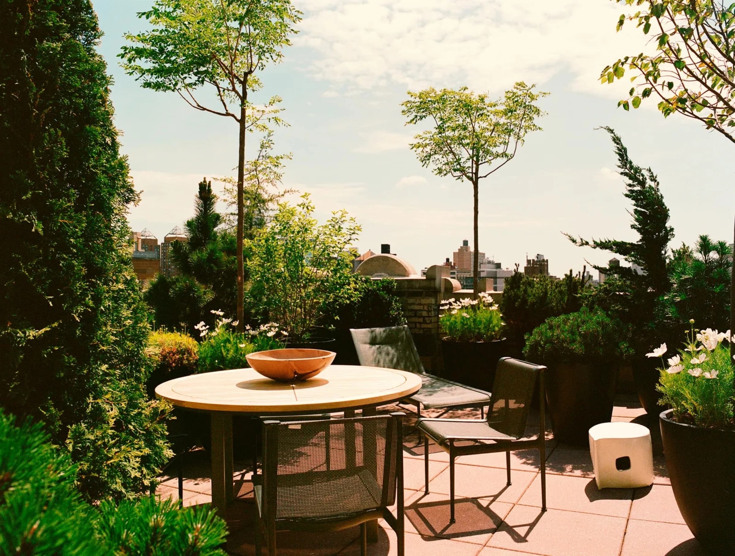 Article inline image 22