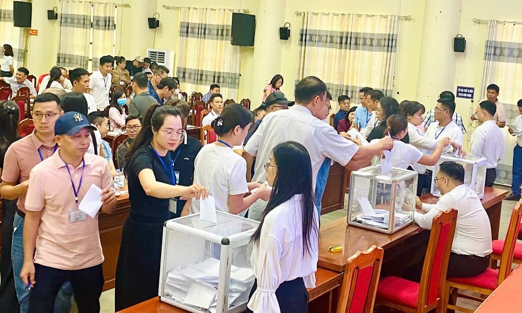 Đất xã ven Hà Nội trúng đấu giá bình quân hơn 5 tỷ đồng mỗi lô