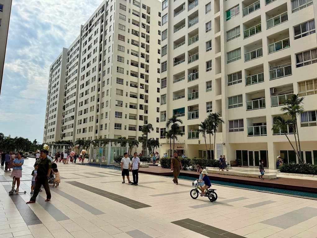 TP HCM đã cấp sổ hồng cho hơn 43.000 căn nhà