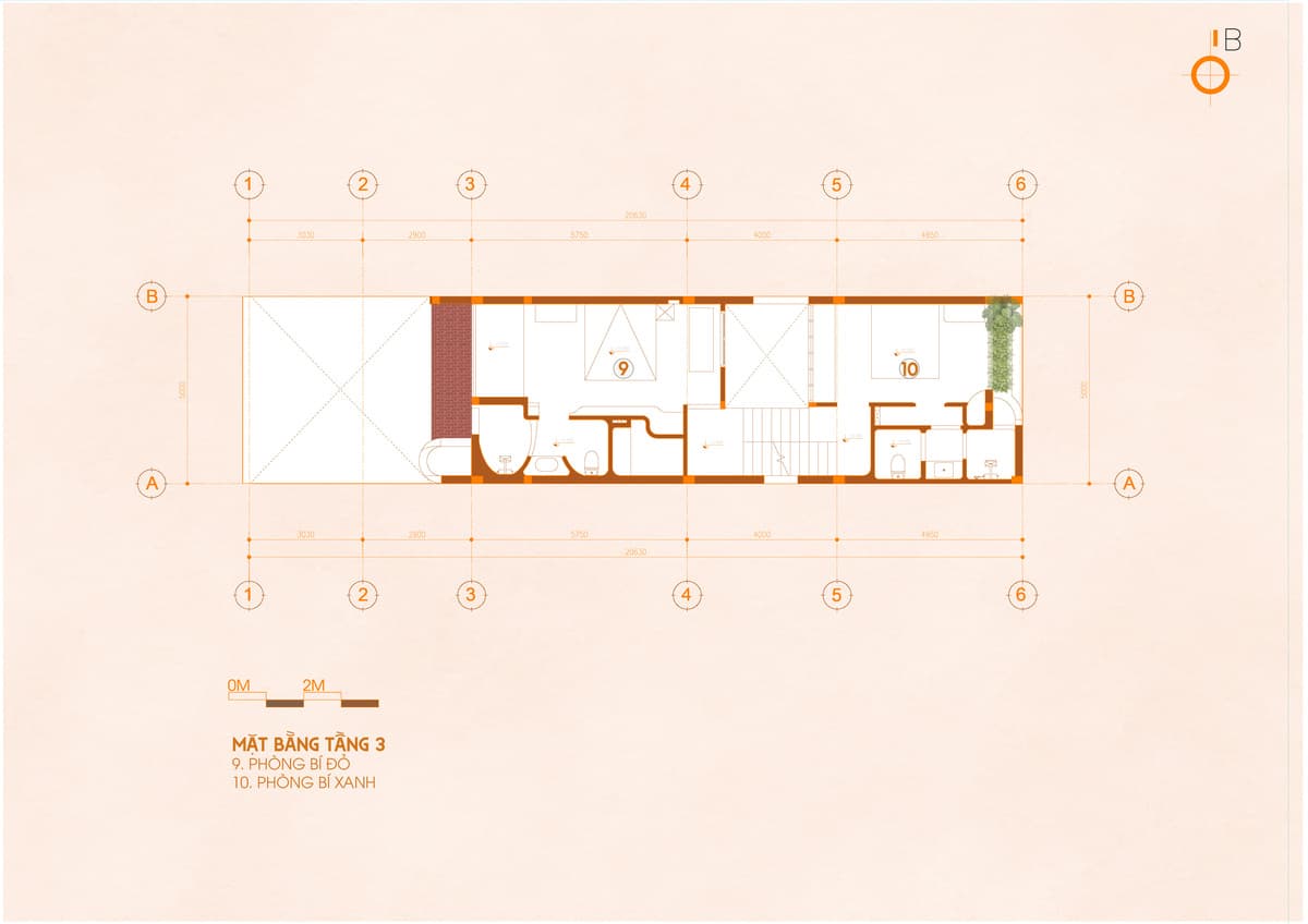 Article inline image 24